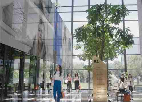 彩霸王光电简介